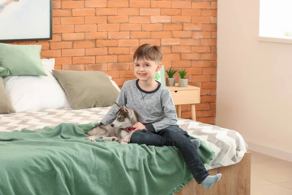 Little boy with cute husky puppy in bedroom — Stock Photo, Image