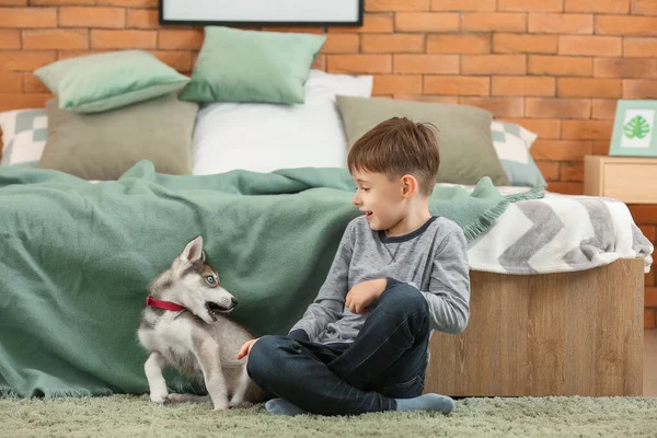 Kisfiú aranyos husky kiskutya a hálószobában — Stock Fotó