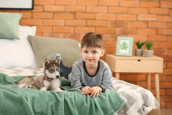 Menino com filhote de cachorro bonito no quarto — Fotografia de Stock