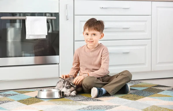 Kisfiú aranyos husky kiskutya és tál élelmiszer a konyhában — Stock Fotó