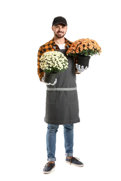 Knappe mannelijke tuinman met planten op witte achtergrond — Stockfoto