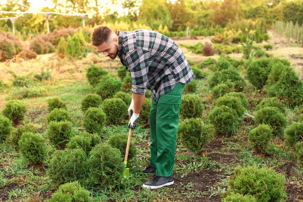 Guapo jardinero masculino trabajando al aire libre — Foto de Stock