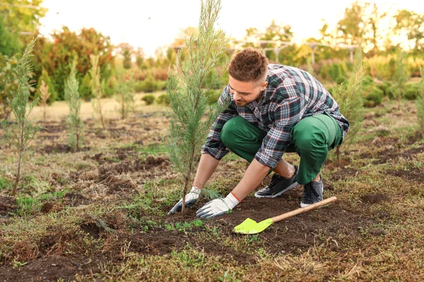 Handsome male gardener working outdoors — Stock Photo, Image