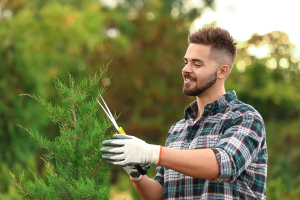 Guapo jardinero masculino trabajando al aire libre — Foto de Stock