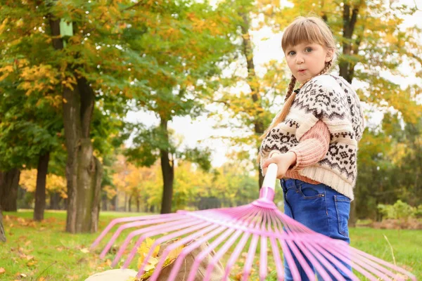 Little girl cleaning up autumn leaves outdoors — Stock Photo, Image