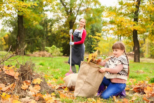 秋の葉を掃除する母と娘 — ストック写真
