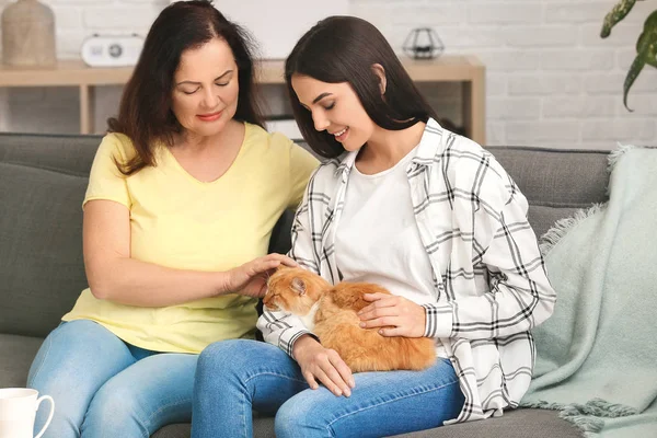 Mature woman and her adult daughter with cute cat at home — Stock Photo, Image