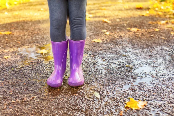 Niedliches kleines Kind trägt Gummistiefel im Herbstpark — Stockfoto