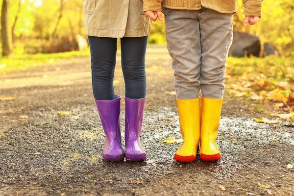 Carini i bambini che indossano stivali di gomma nel parco autunnale — Foto Stock