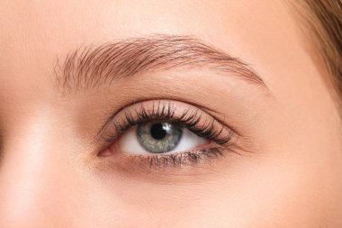 Güzel kaşları olan genç bir kadın, yakın plan.