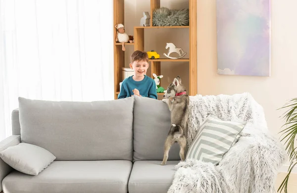 Little boy with cute husky puppy at home — Stock Photo, Image