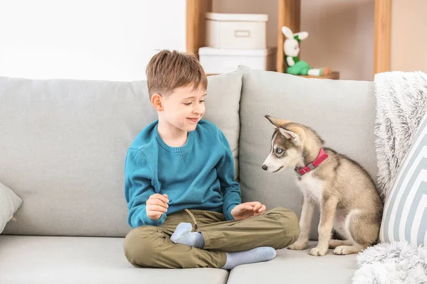 Kisfiú aranyos husky kiskutya kanapén otthon — Stock Fotó