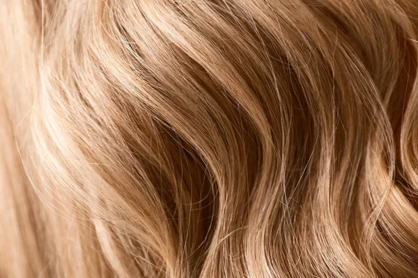 Здоровые длинные женские волосы, крупный план — стоковое фото