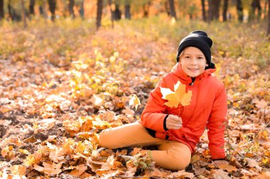 Sonbahar parkında küçük sevimli bir çocuk.
