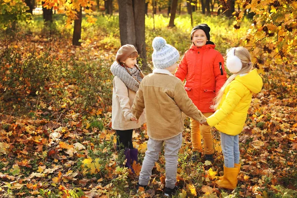 Bambini carini che giocano nel parco autunnale — Foto Stock