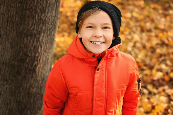 Cute little boy in autumn park — Stock Photo, Image