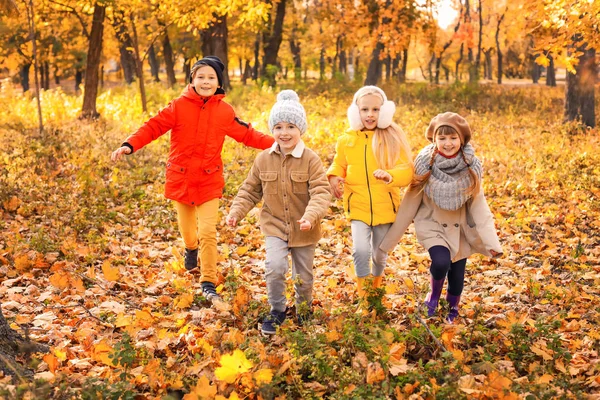 Lindos niños pequeños jugando en el parque de otoño — Foto de Stock