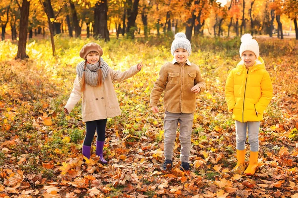 Милые маленькие дети в осеннем парке — стоковое фото