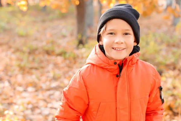 가을 공원의 작고 귀여운 소년 — 스톡 사진
