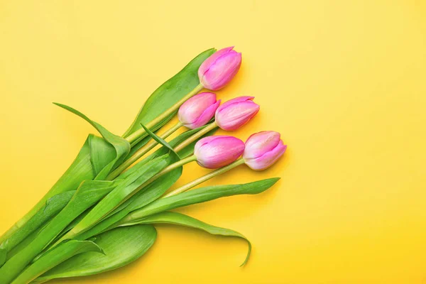 Beautiful flowers on color background — Stock Photo, Image