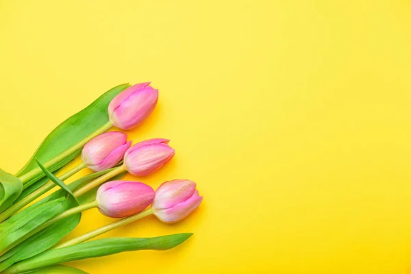 Beautiful flowers on color background — Stock Photo, Image
