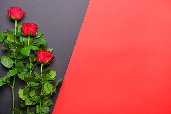 Mooie bloemen op kleur achtergrond — Stockfoto