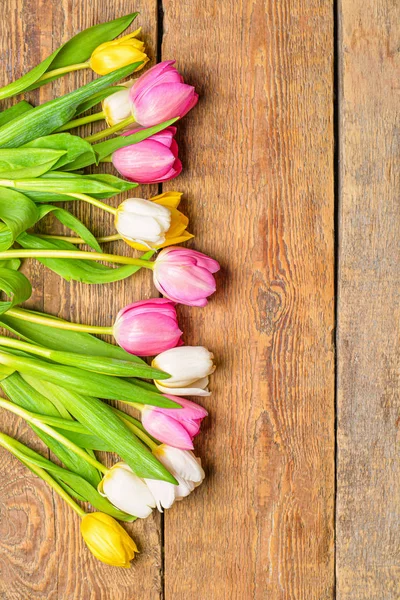 Beautiful tulip flowers on wooden background — Stock Photo, Image