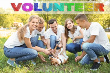 Sevimli köpek açık havada gönüllüler grubu