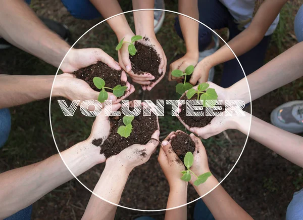 Volunteers with young plants outdoors — Stock Photo, Image