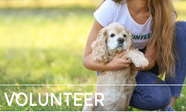 Female volunteer with cute dog outdoors — Stock Photo, Image