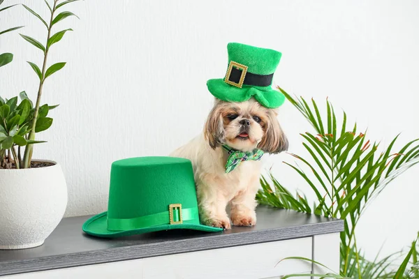 Lindo perro con sombrero verde en casa. Celebración del Día de San Patricio —  Fotos de Stock