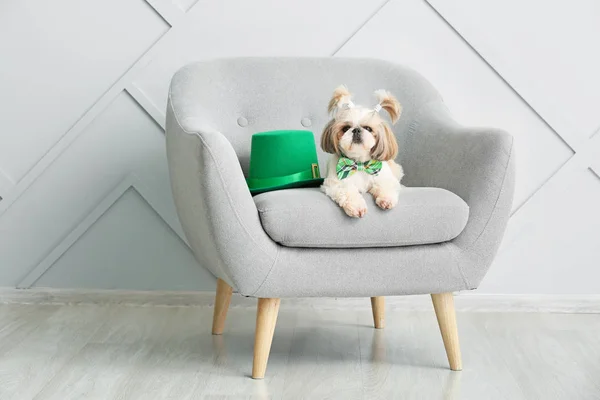 Cute dog with green hat on armchair. St. Patrick\'s Day celebration