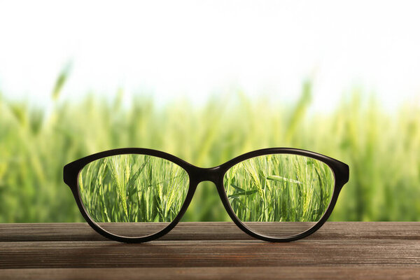 Stylish eyeglasses on wooden table in wheat field