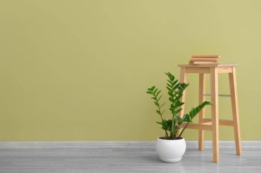 Ev bitkisi ve renkli duvarlara yakın kitapları olan şık bir masa.