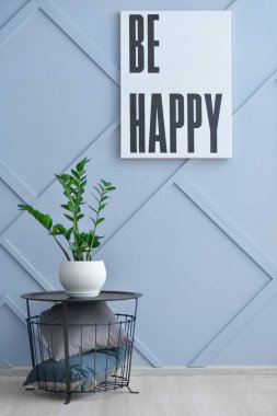 Yastıklı şık bir sepet ve gri duvarın yanında bitkiler.