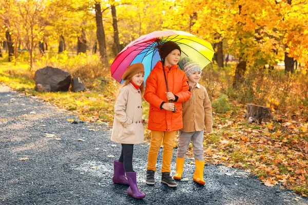 Lindos niños pequeños con paraguas en el parque de otoño —  Fotos de Stock