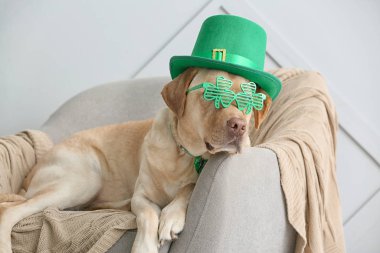 Koltukta yeşil şapkalı şirin bir köpek. Aziz Patrick Günü kutlaması