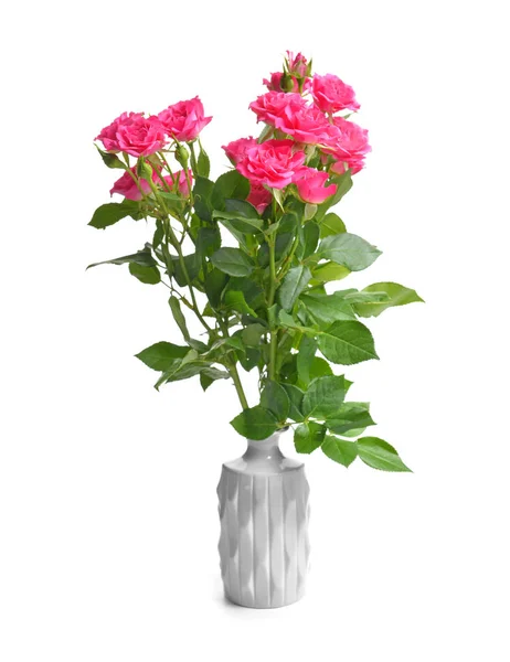 Vase with beautiful rose flowers on white background — Stock Photo, Image