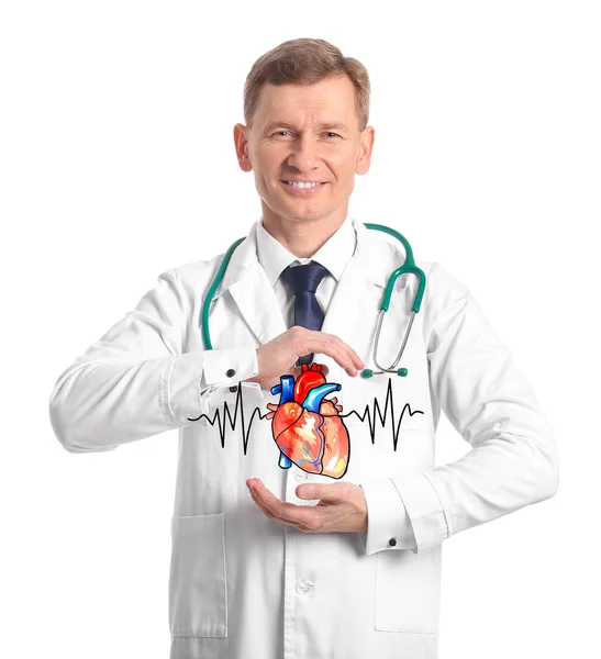 Mężczyzna kardiolog z narysowanym sercem na białym tle — Zdjęcie stockowe