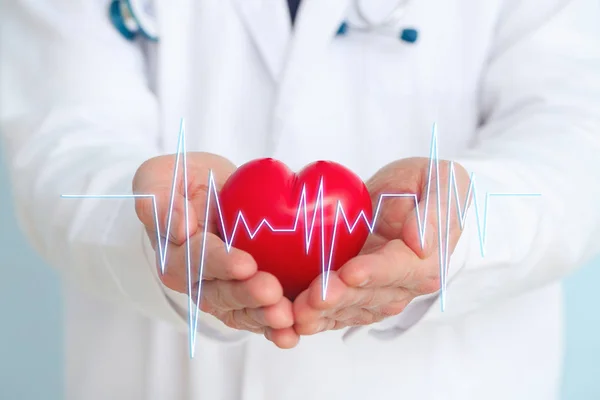 Cardiolog masculin cu inimă roșie și cardiogramă, closeup — Fotografie, imagine de stoc
