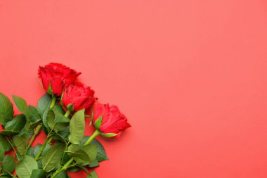 Renkli arkaplanda güzel çiçekler