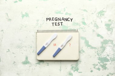 Hamilelik testleri ve hafif arkaplan üzerine not defteri