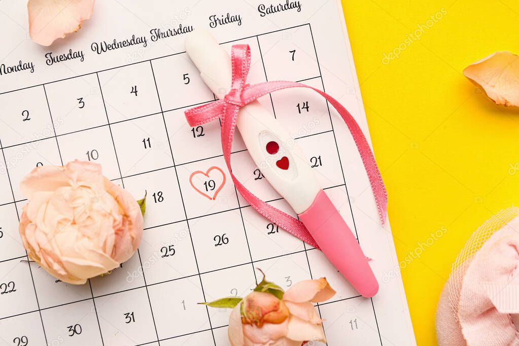 Pregnancy test, flowers and calendar on color background