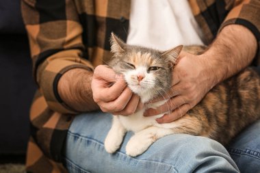 Evde sevimli kedisi olan bir adam var.
