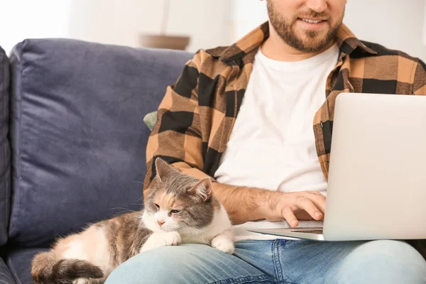 Hombre con gato lindo usando el ordenador portátil en casa —  Fotos de Stock