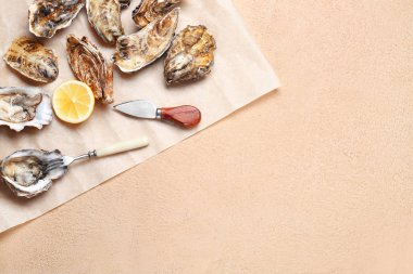 Renkli arkaplanda lezzetli istiridyeler