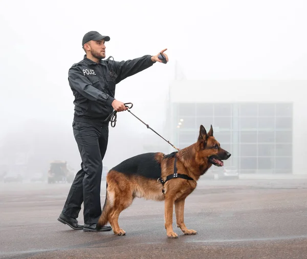 Male police officer with dog patrolling city street — Stock Photo, Image