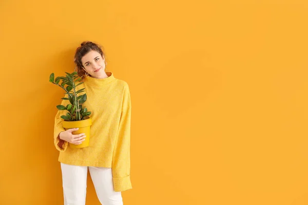 Belle jeune femme en pull chaud et avec plante d'intérieur sur fond de couleur — Photo
