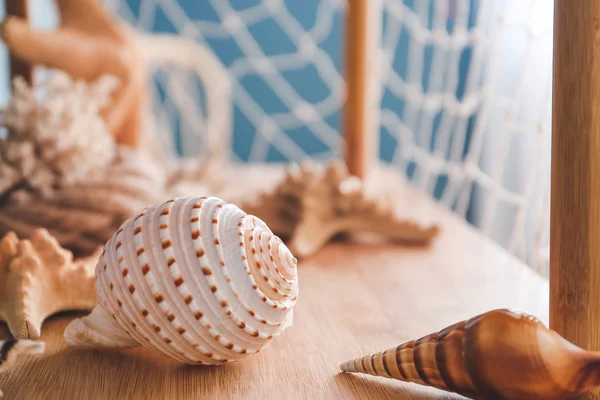 木制架子上漂亮的海贝壳和海星 — 图库照片