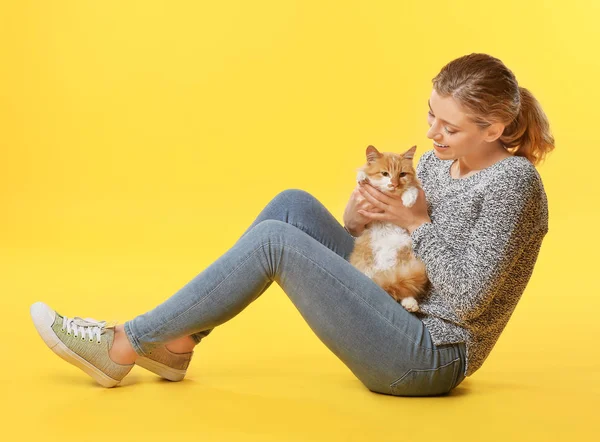 Hermosa mujer joven con gato lindo en el fondo de color —  Fotos de Stock